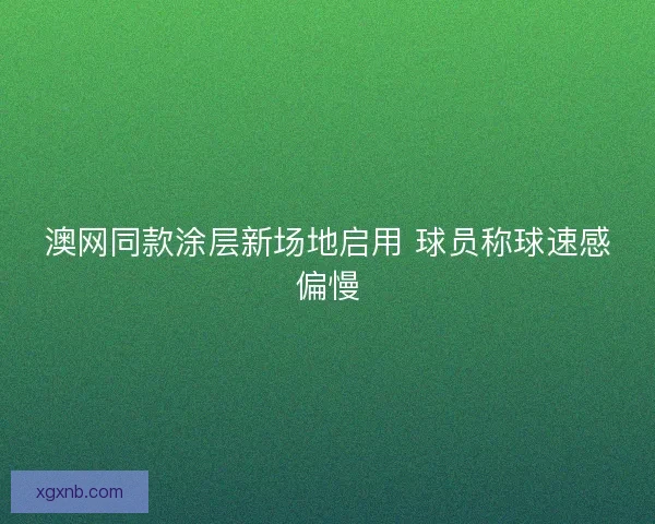 澳网同款涂层新场地启用 球员称球速感偏慢 澳网同款涂层新场地启用 球员称球速感偏慢