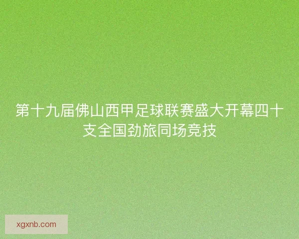 第十九届佛山西甲足球联赛盛大开幕四十支全国劲旅同场竞技 第十九届佛山西甲足球联赛盛大开幕四十支全国劲旅同场竞技
